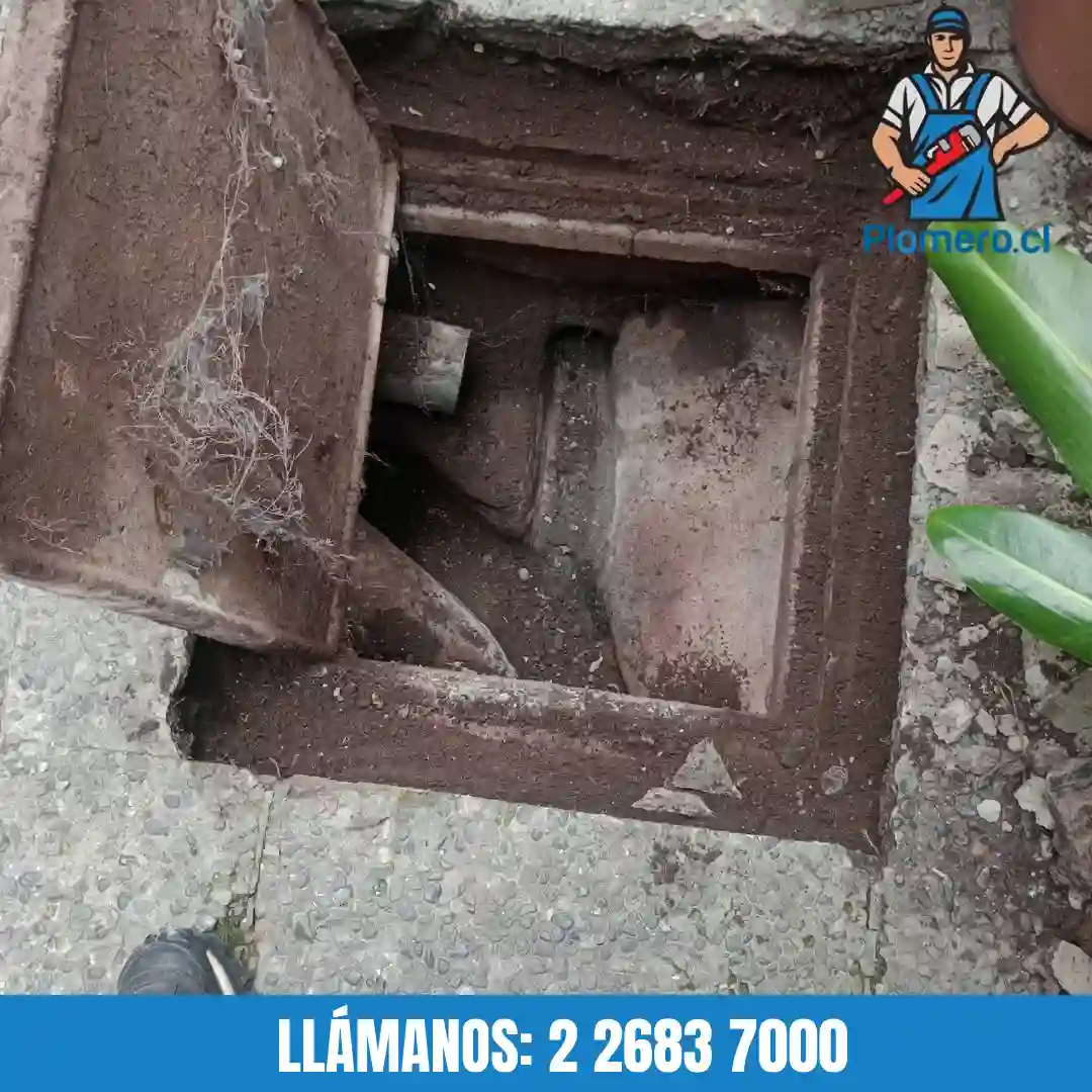 Obstrucciones recurrentes en el mismo baño