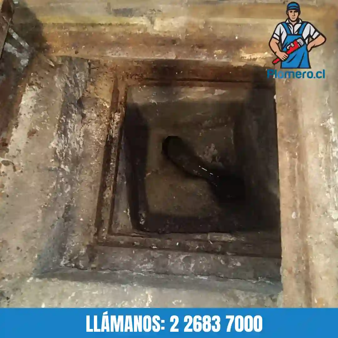 Malos olores en el desagüe de la cocina