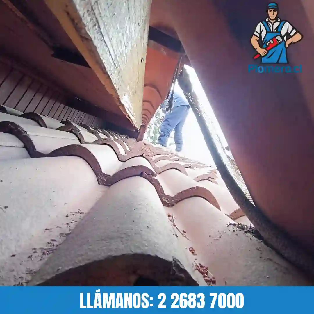 Reparación de filtraciones en cielos y muros