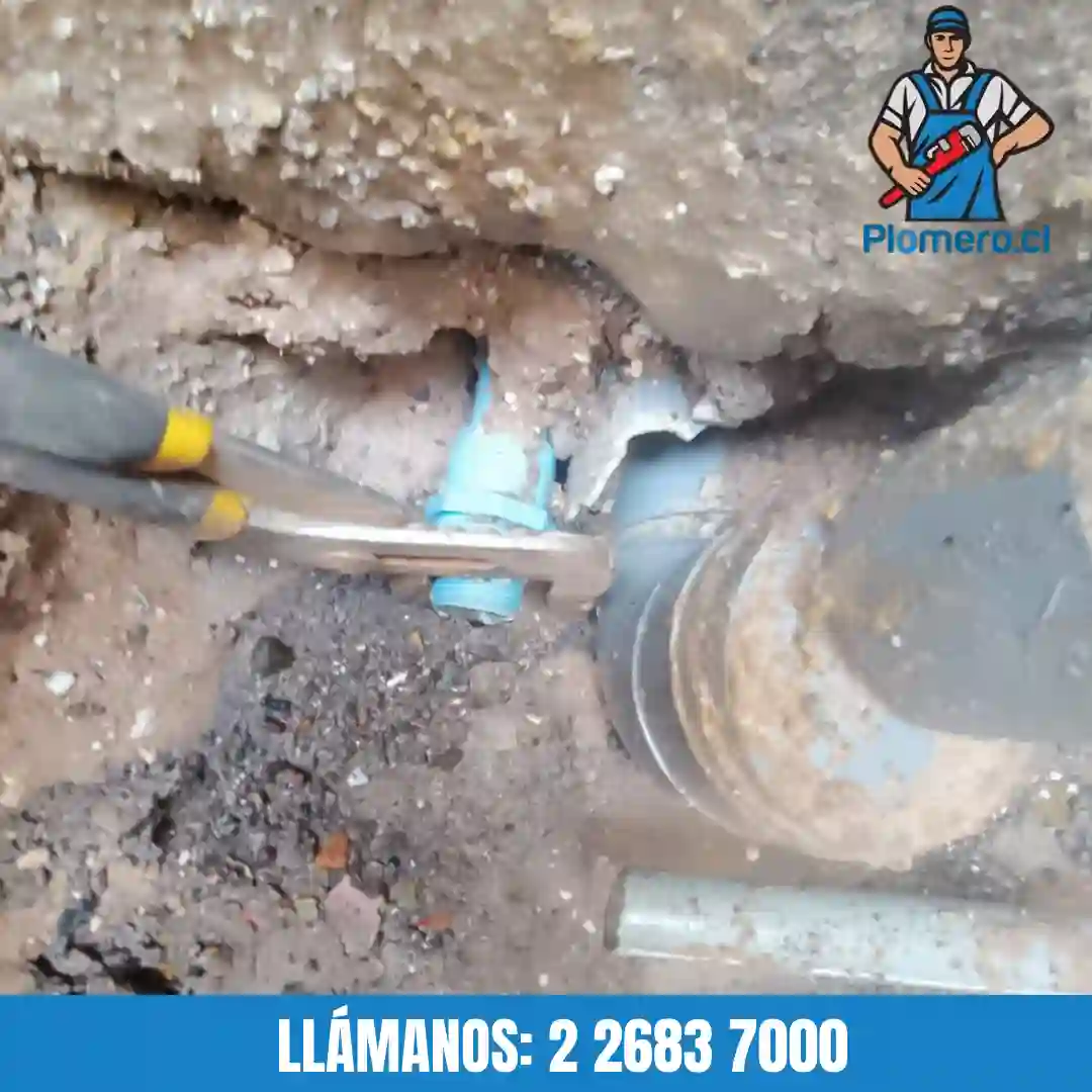 Detección con gas trazador en jardines y patios